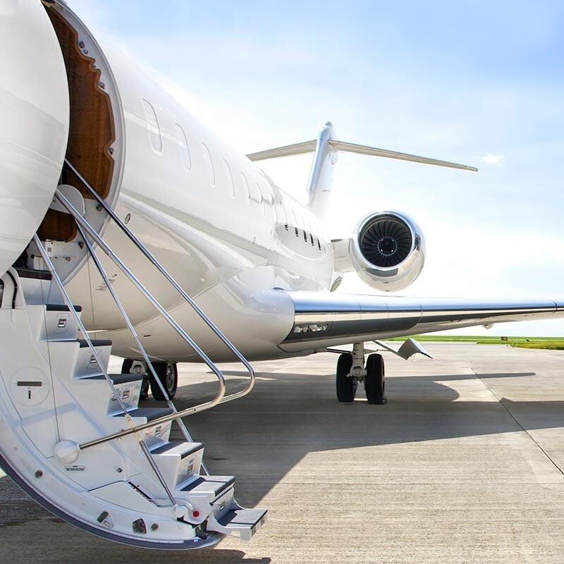 Aviator Collection_800x800